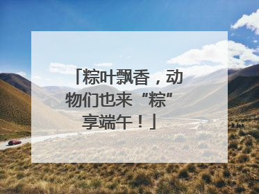 粽叶飘香，动物们也来“粽”享端午！